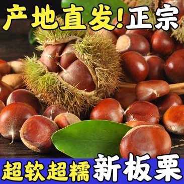 丹东板栗电商一件代发商超团购24小时揽收