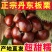 丹东板栗电商一件代发商超团购24小时揽收