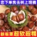 丹东板栗电商一件代发商超团购24小时揽收