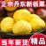 丹东板栗电商一件代发商超团购24小时揽收