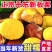 丹东板栗电商一件代发商超团购24小时揽收