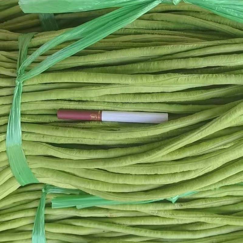 《青条豆角》精品长豆角/广东豆角/产地直发/整车批发供应