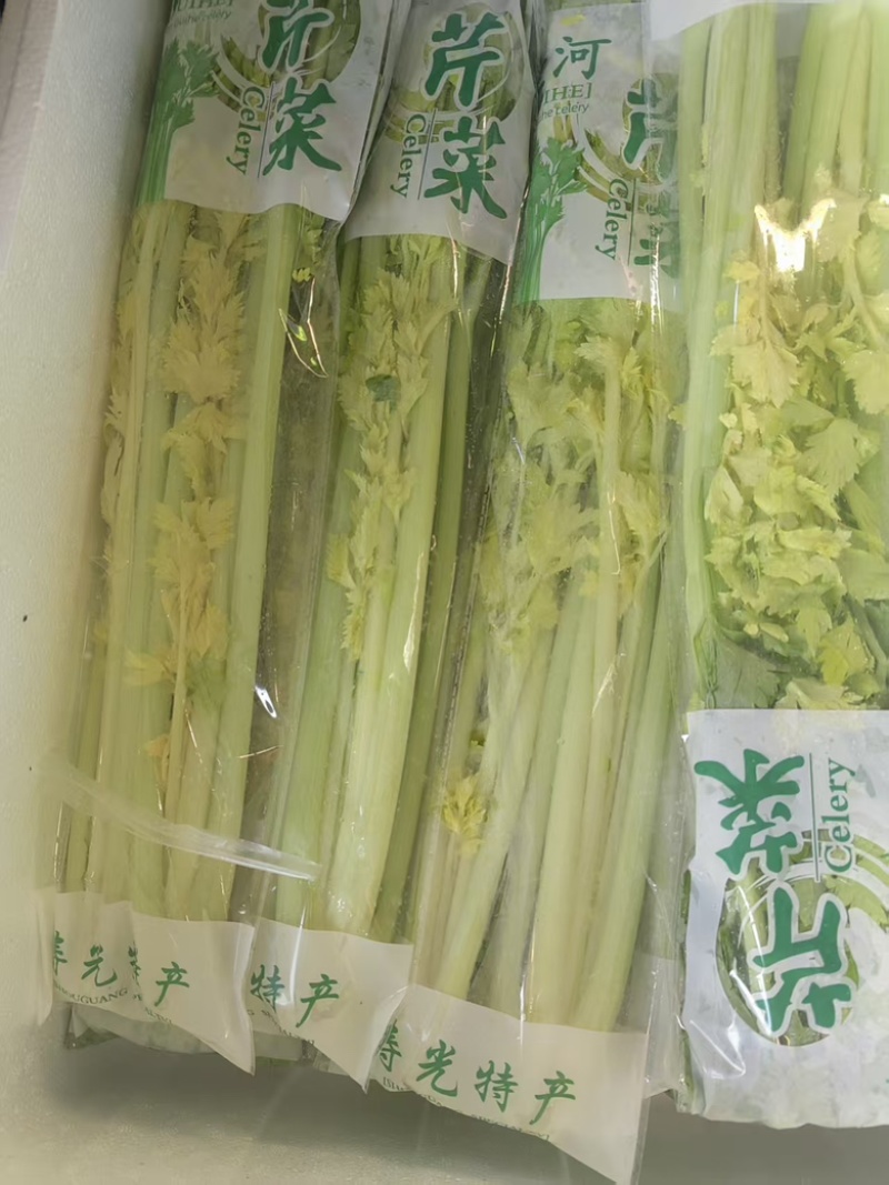 桂河芹菜