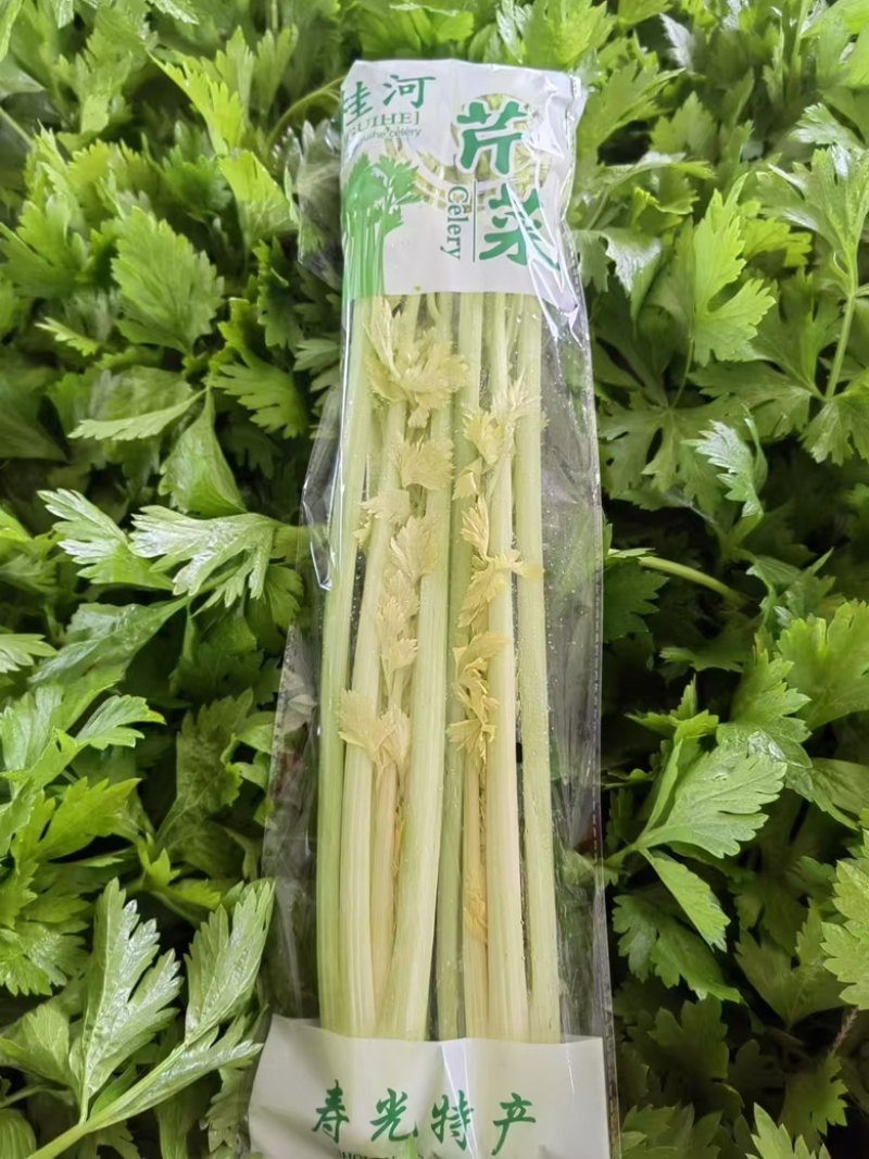 桂河芹菜