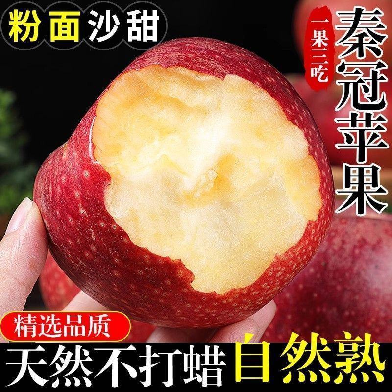 陕西秦冠苹果产地直发货源充足可视频看货欢迎下单