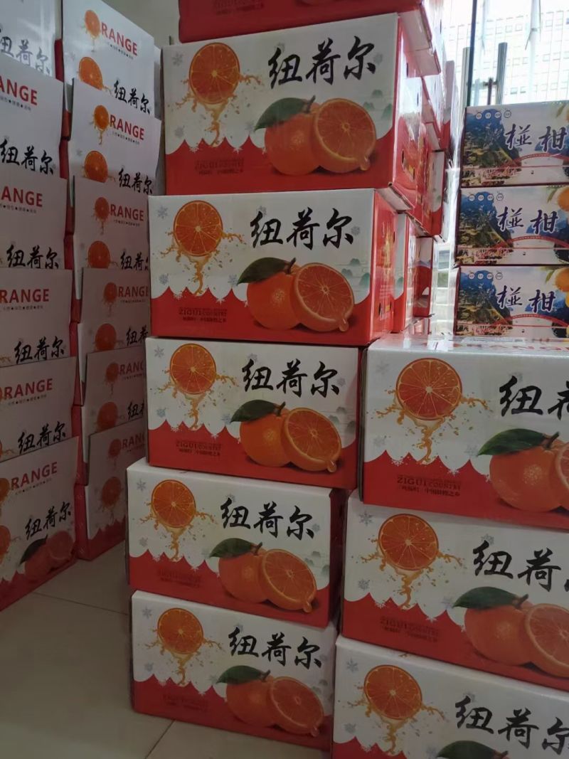 纽荷尔脐橙