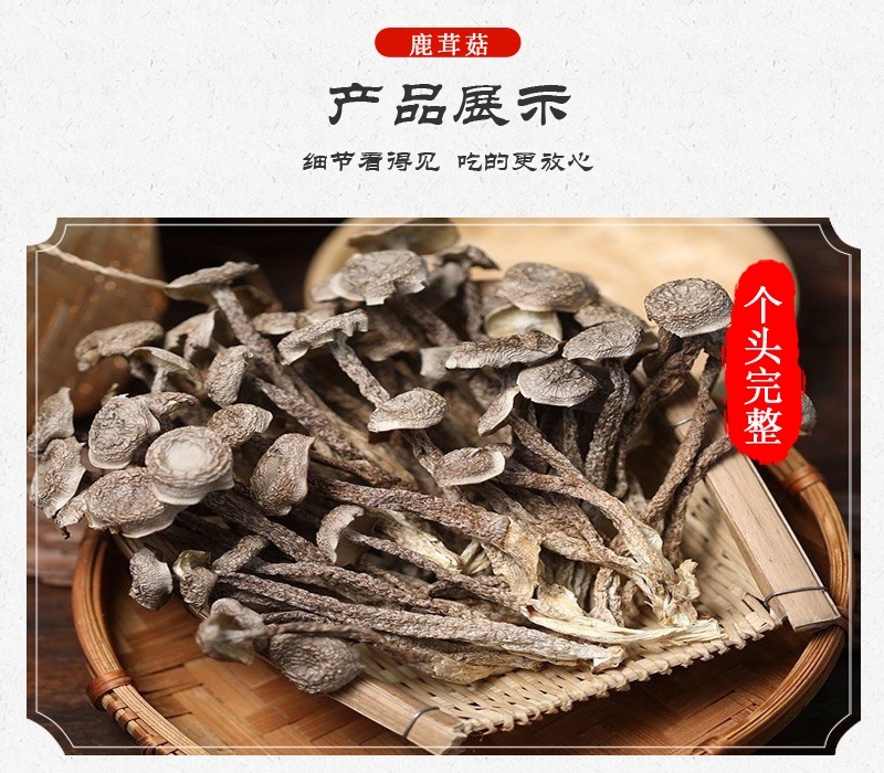 秦岭山珍干菌子鹿茸菇