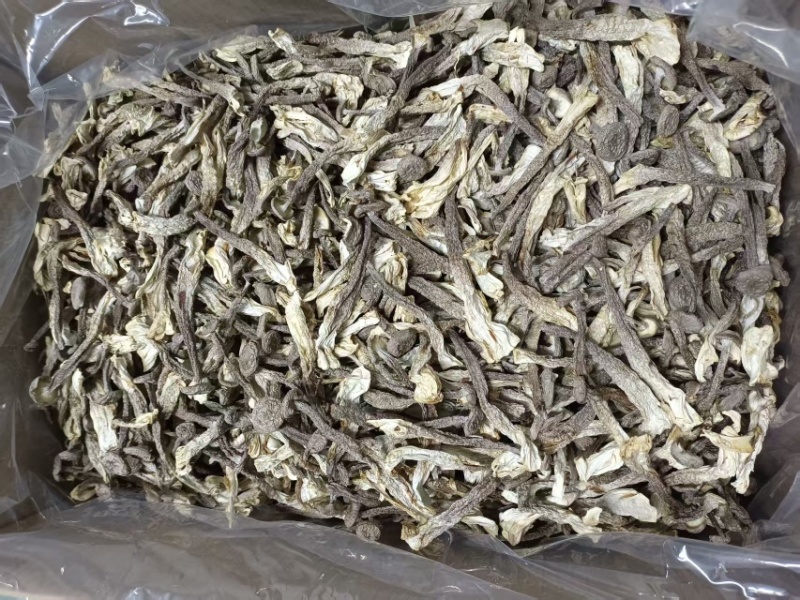 秦岭山珍干菌子鹿茸菇