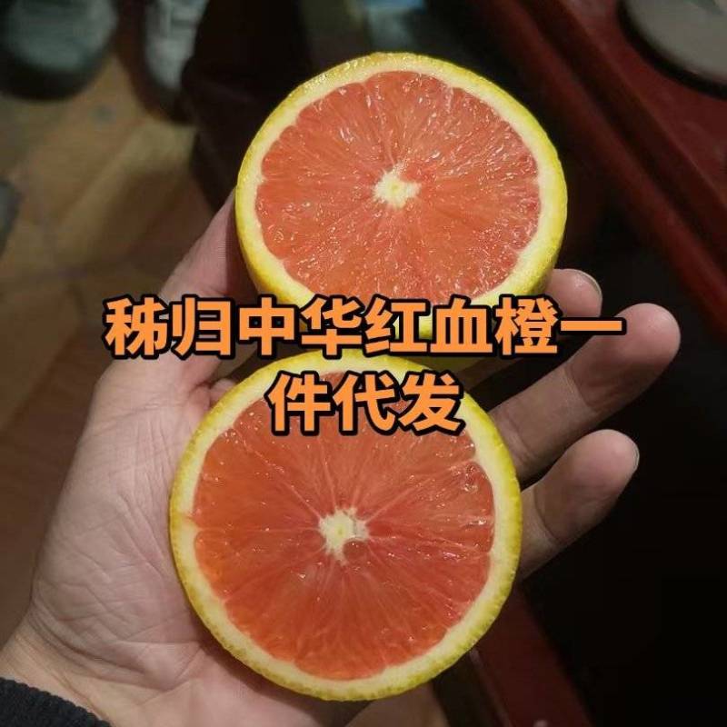 秭归血橙一件代发