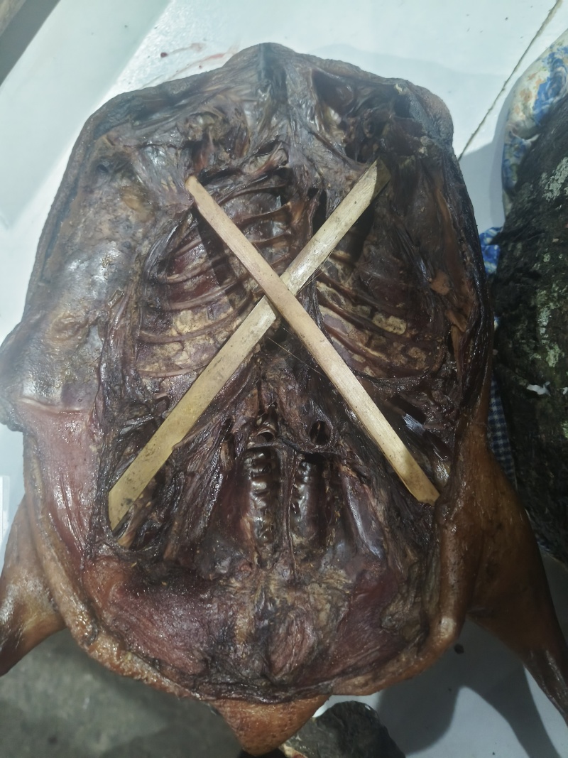 烟熏板鸭