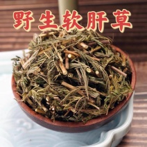 中药材软肝草含羞草决明铁甲草新货干净干货切段