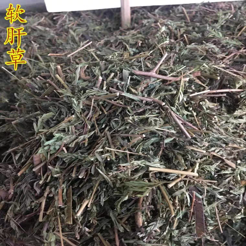中药材软肝草含羞草决明铁甲草新货干净干货切段