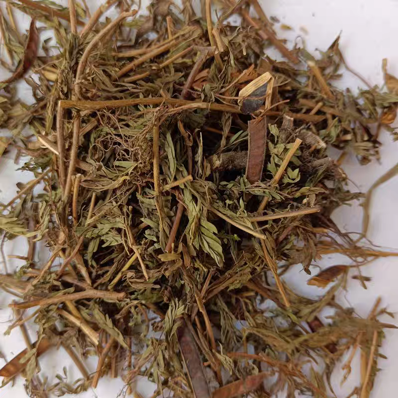 中药材软肝草含羞草决明铁甲草新货干净干货切段