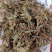 中药材软肝草含羞草决明铁甲草新货干净干货切段