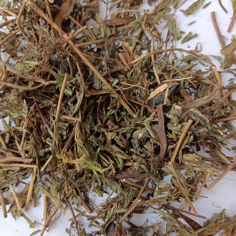 中药材软肝草含羞草决明铁甲草新货干净干货切段