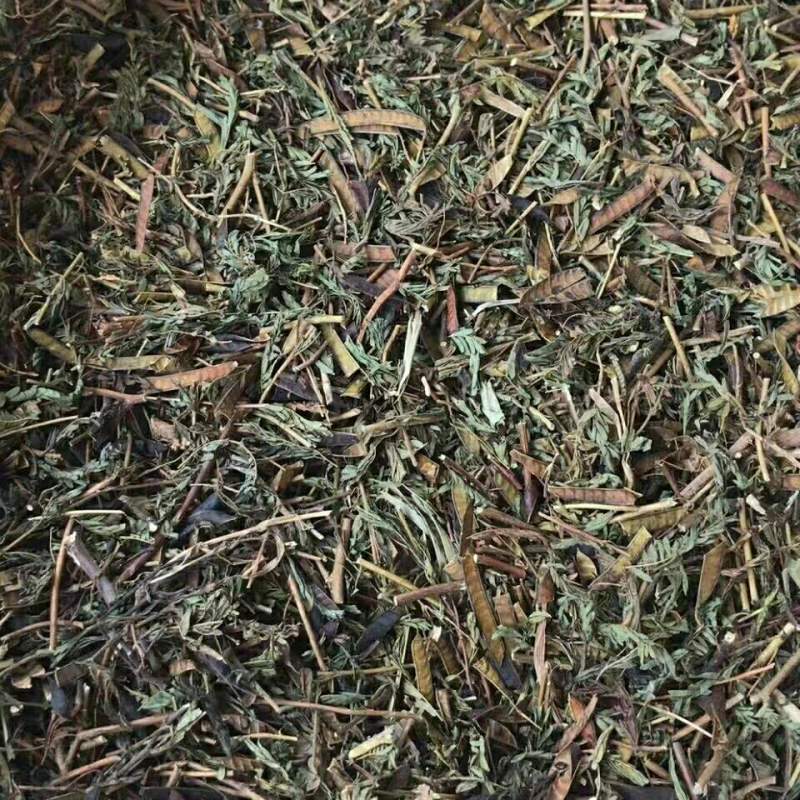 中药材软肝草含羞草决明铁甲草新货干净干货切段