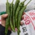 河南精品湘研55号鲜辣椒产地直发一手货源质量保证