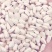 新疆红花种子大量供应可视频看货欢迎来电采购