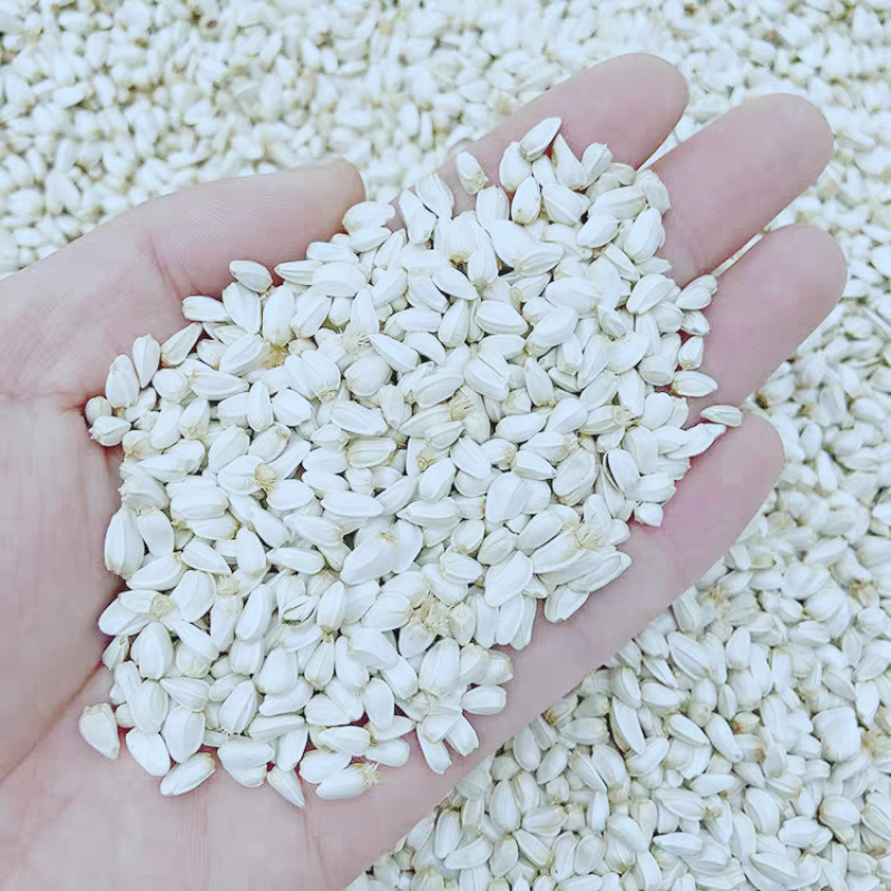 优质红花籽新疆红花籽红花大量供应可视频看货欢迎来电