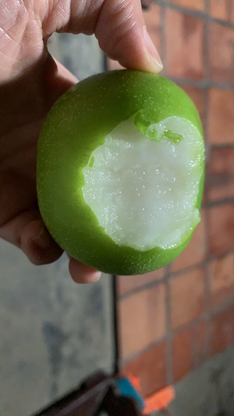青枣