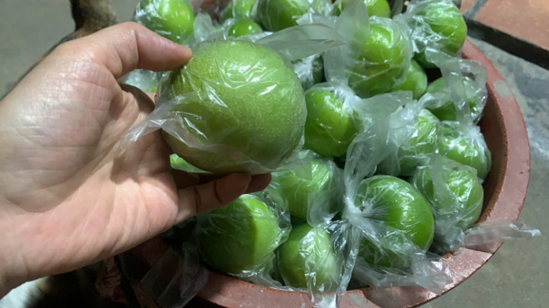 青枣