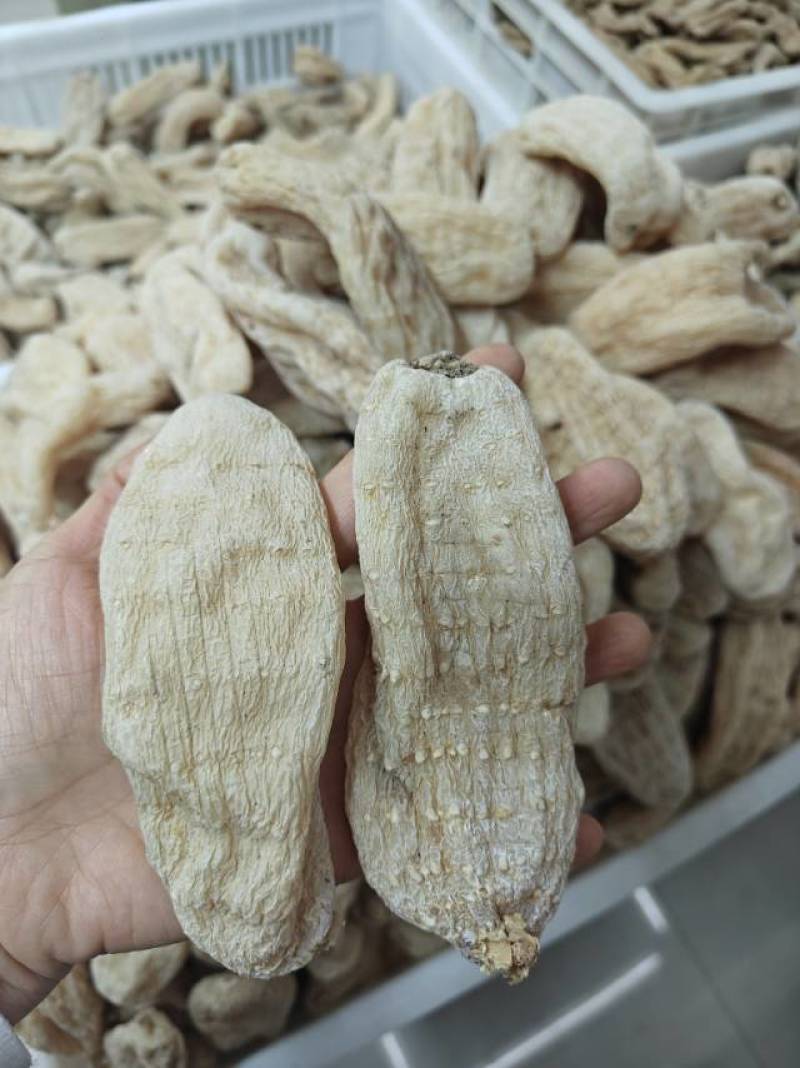 云南昭通小草坝干天麻，小果100公斤起批还有各种规格