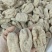 云南昭通小草坝干天麻，小果100公斤起批还有各种规格