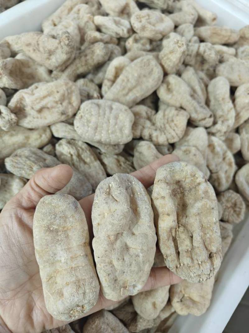 云南昭通小草坝干天麻，小果100公斤起批还有各种规格