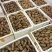 云南昭通小草坝干天麻，小果100公斤起批还有各种规格