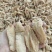云南昭通小草坝干天麻，小果100公斤起批还有各种规格
