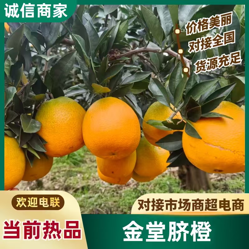 【推荐】金堂脐橙，产地直发视频看货欢迎咨询