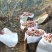 自家产青龙山地小国光苹果皮薄酸甜可口