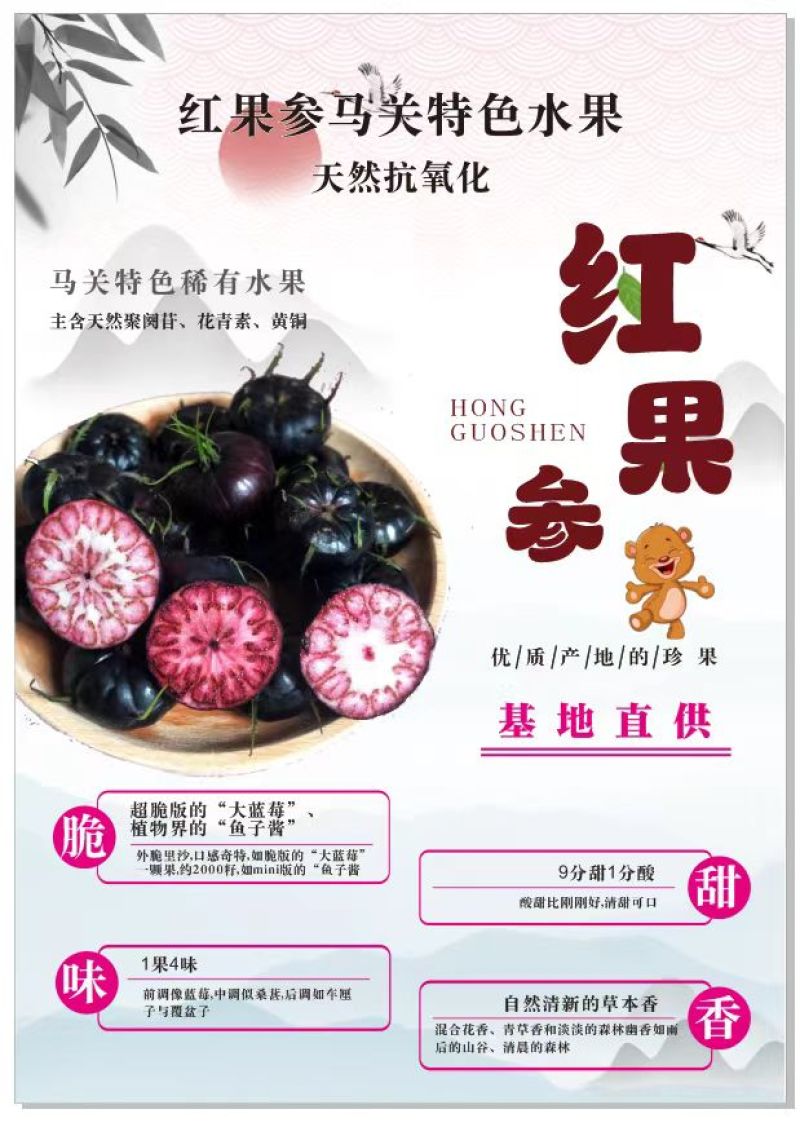 红果参水果一件代发代采代办