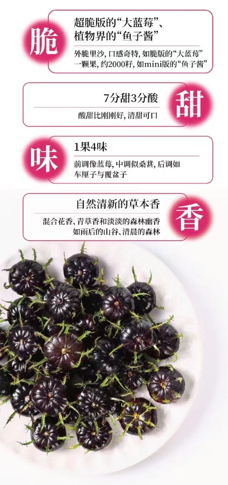 红果参水果一件代发代采代办