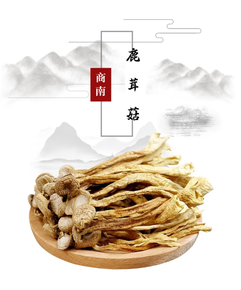 秦岭山珍干菌子鹿茸菇