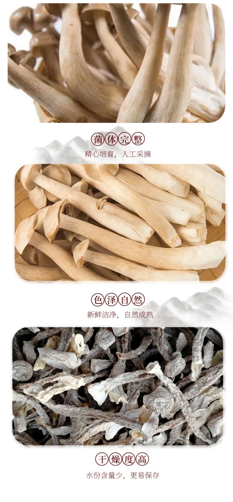 秦岭山珍干菌子鹿茸菇