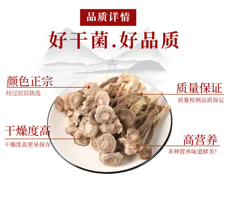秦岭山珍干菌子鹿茸菇