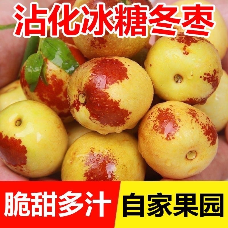 山东滨州沾化冬枣鲜枣货量充足支持一件代发精品大枣