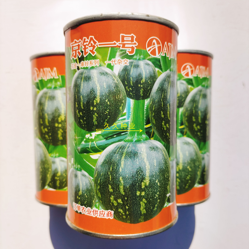 京铃一号西葫芦种子早熟耐寒高圆形肉厚嫩瓜深绿南瓜籽