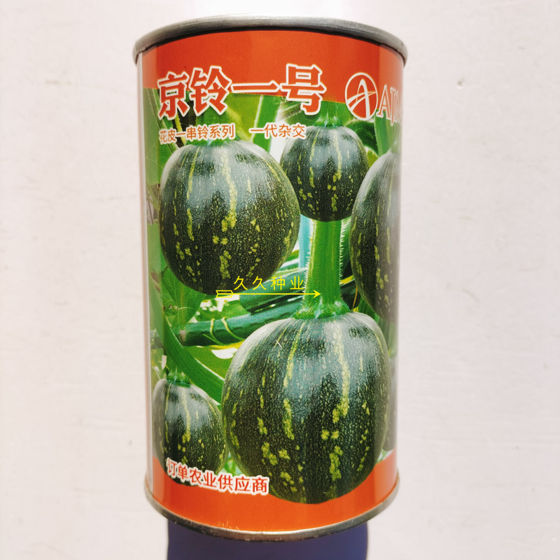 京铃一号西葫芦种子早熟耐寒高圆形肉厚嫩瓜深绿南瓜籽
