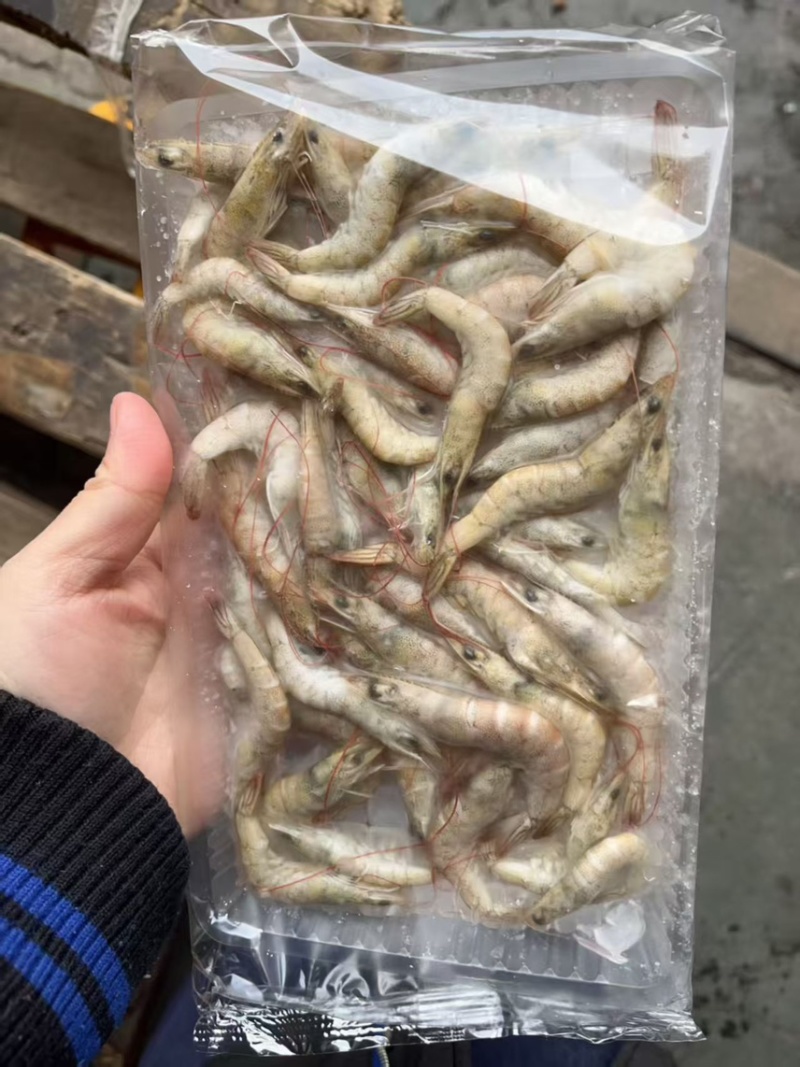 小河虾毛虾餐饮饭店夜市大排档