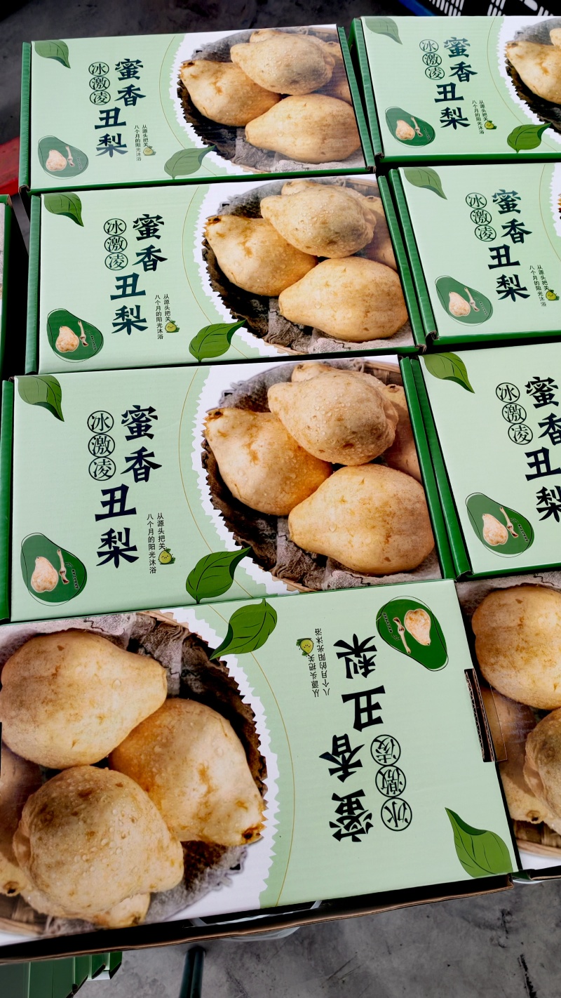 【手提小礼盒】冰激凌蜜香丑梨4斤社区团购团批整车集采发货