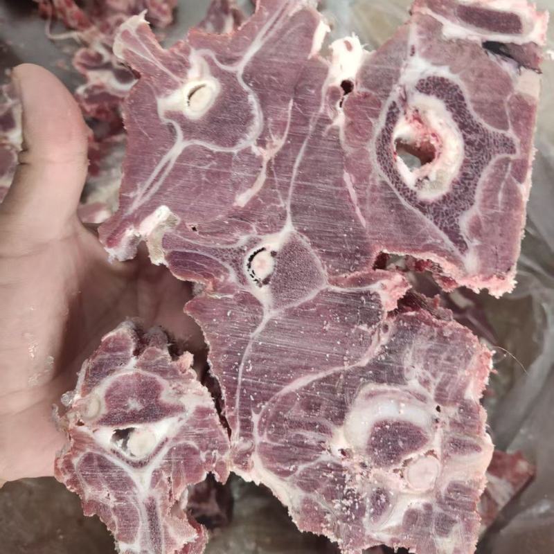 双威内蒙多肉羊蝎子大量到货