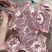 双威内蒙多肉羊蝎子大量到货