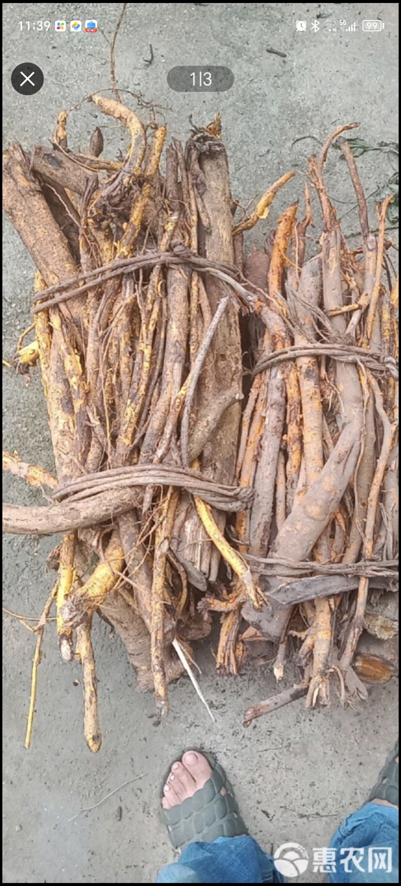 穿破石纯根鲜货