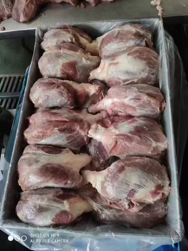 母猪龟腱肉