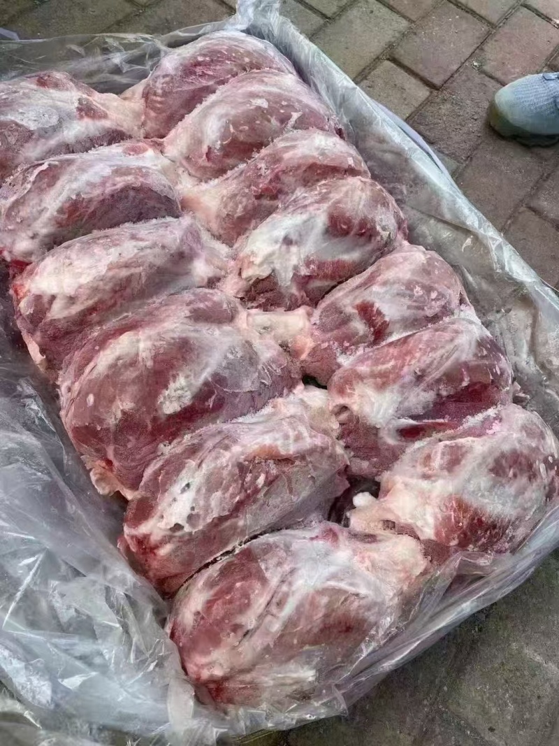 母猪龟腱肉