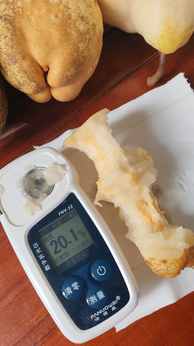 【社区团购供货】冰激凌蜜香丑梨非中华丑梨香甜软糯整车直发