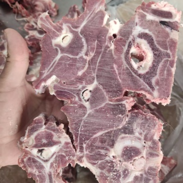 满肉羊蝎子大量到货20斤一箱
