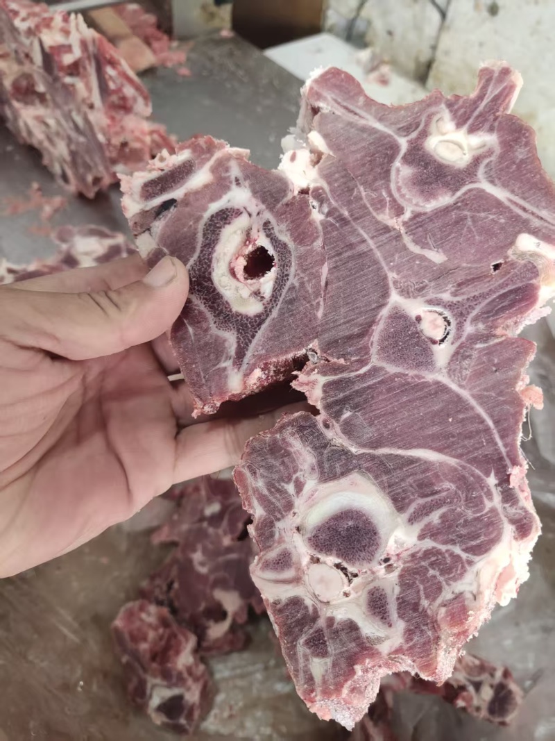 满肉羊蝎子大量到货20斤一箱